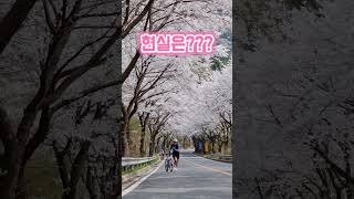 사진 속 비밀🌝 #자전거 #cycling #자덕