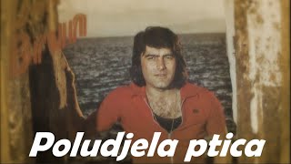 Dalibor Brun – Poludjela ptica [1080p 60fps]