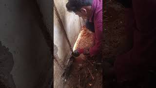 Plumber work #plumbing #shortsviral #youtube #viralvideo #shorts