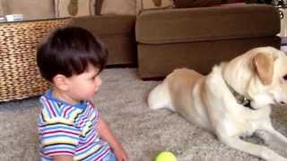 Finn and his best friend Bear