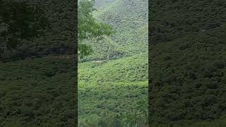 Srivari Mettu view from Tirumala ghat road