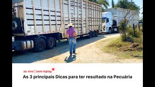 Os 3 Pilares para ter Resultado na Pecuária