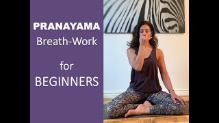 15 Minute Pranayama (Breath-Work) for beginners and everybody.