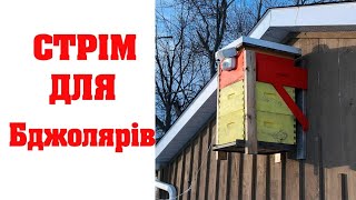 Стрім для бджолярів