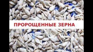 167 Пророщенные зерна, как прорастить, польза