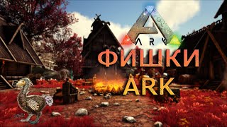 ARK Survival Evolved | ФИШКИ АРК Fjordur| ГДЕ ФАРМИТЬ ЧЕРТЕЖИ | ГДЕ ФАРМИТЬ  ПОЛИМЕР