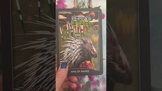 9 of wands tarot meaning