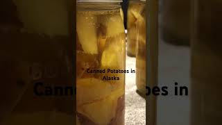 Canned Potatoes in Alaska.  #alaska #canning