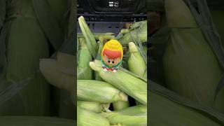 #Freddy #Freddyfunko #Corn #Farm #Funkopop #Funko #sodapop #sdcc #comiccon #fyp  #shorts