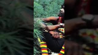 Peter Tosh https://youtu.be/qQmR4acI6aw #motivation #football #sport#assemblé nationale#funny