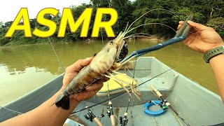 KETENANGAN MANCING DI SUNGAI HUTAN HUJAN TROPIKA (ASMR)