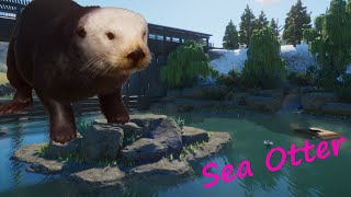 Sea Otter - Future Life Canada