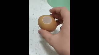 Real Egg (White/Brown) Review