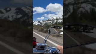 Slaying Sonora pass #motorcycle