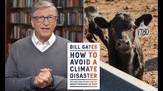 Bill Gates says the US 'should move to 100% synthetic beef'