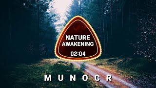 Cinematic Documentary Drone | MUNOCR - Music No Copyright | Nature Awakening