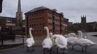 Worcester floods February 2014 (River Severn)