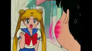 Bunny (Usagi) vs. Mamoru