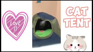 Look How I Built My Kitten House | Recycling Idea