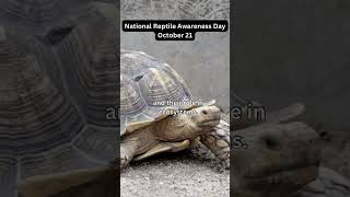 National Reptile Awareness Day-October 21🐢🤩😁#reptiles #october21 #dailyfacts