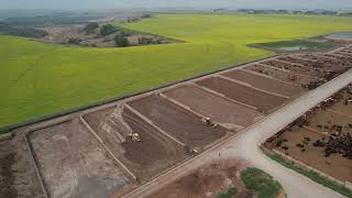 Dutchie Dirt Moving at Groenenboom Farms