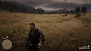 Red Dead Redemption 2_20190322201851