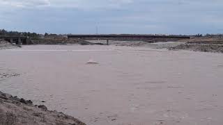 Tidal bore carving out a new channel under the new span @ Riverview NB, Canada. May 2, 2021.