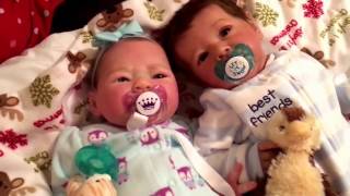 Reborn Babies POTN and a reborn baby haul with the help of 8 year old twins!