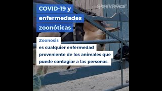 Covid -19 y Zoonosis.