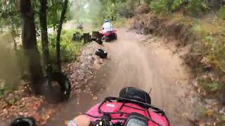 Quad Bike Moreton Island