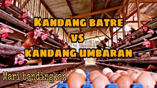 Kandang baterai & Kandang Umbaran