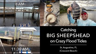 Catching BIG SHEEPSHEAD on Crazy Flood Tides in South St. Augustine (Crescent Beach), FL