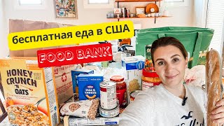 FOOD BANK | Нам дали бесплатные продукты