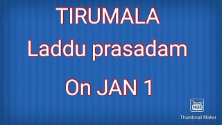 Tirumala Srivari Laddu prasadam