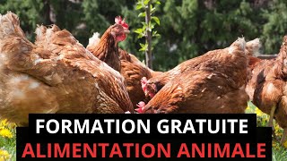 22 minutes pour savoir comment formuler l'alimentation de tous les animaux sans l'aide de personne.