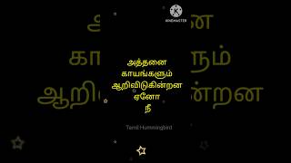 Tamil Kaathal Kavithaigal..#youtubeshorts #trendingshorts #tamilkavithaigal #kavithaigal  #love