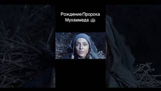 тавалуди пайомар мухамад с.а.в #душанбе #дангара #бохтар #кулоб #shortvideo #вахдат