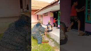 Anak Nya Dimarahin Bapak Grandong Kagetin Warga Yg Sudah Marahin #shorts #viralvideo #grandong