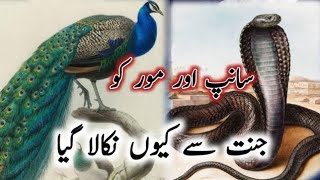 Sanp Aur Morr Ko Jannat Se Kiyon Nikala Gaya | سانپ 🐍 اور مور | Jannat Ka waqia #viral #viralvideo