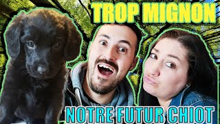 NOUS ALLONS VOIR NOTRE FUTUR CHIOT !! TROP MIGNON !🐶🐕‍🦺