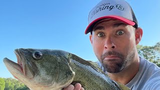 Catching Huge Bass using an Amazing Lure!