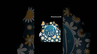 Beautiful Allah name Status  allah name status 💓 part 178 #allah #ytshorts 178 💞💞