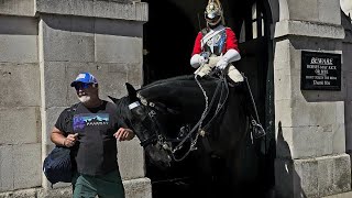 Emotional Moment: King's Guard Horse Shares Heartwarming Connection with Soldier and Visitor!"