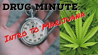 Drug Minute: Introduction to Marijuana