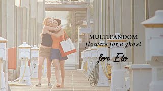 multifandom collab || flowers for a ghost [happy birthday elo]