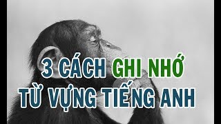 3 CÁCH GHI NHỚ TỪ VỰNG - Học Tiếng Anh Giao Tiếp - iYOLO English