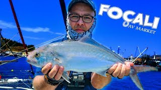 Foça'da Jig ile Akyalarla Dans Ettik! Yakala Bırak Kuzu Sarıkuyruk Light Shore Jigging for Amberjack