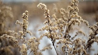 Люди, бережіть природу! (відео про засмічену територію. с.Наконечне Друге)