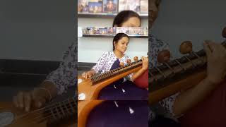 Jagajanani | Rathipatipriya |Veena Cover