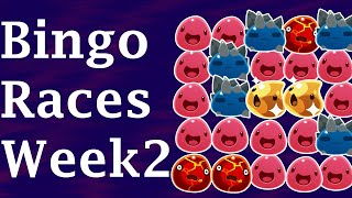 Bingo Week 2 Highlights